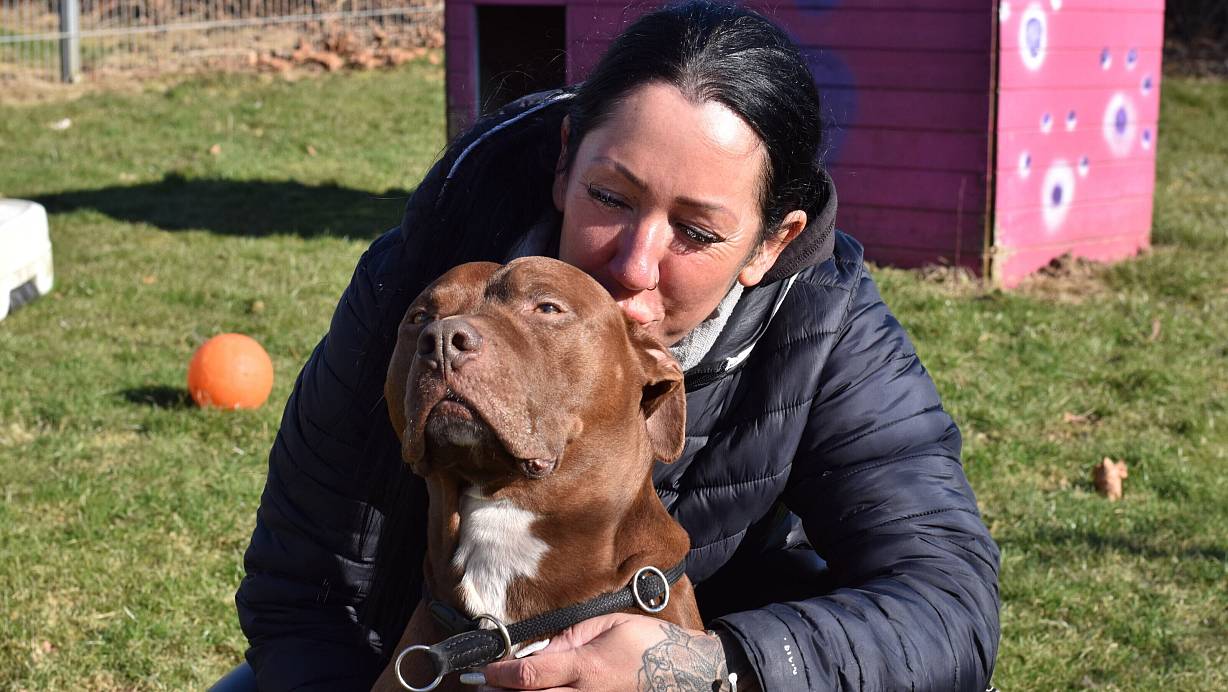 Jennifer Halter nimmt seit über 20 Jahren Pflegehunde auf. Auch Pitbullterrier Sam kam als Pflegehund zu ihr, mittlerweile hat sie ihn fest adoptiert. | © Sara Mattana