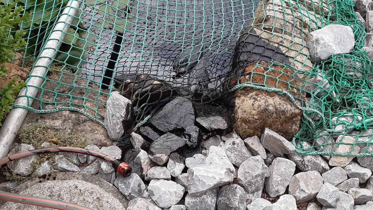 Auf den Steinen am Rand der Teiche sind überall schwarze Flecken vom Öl zu sehen. | © Strathmann