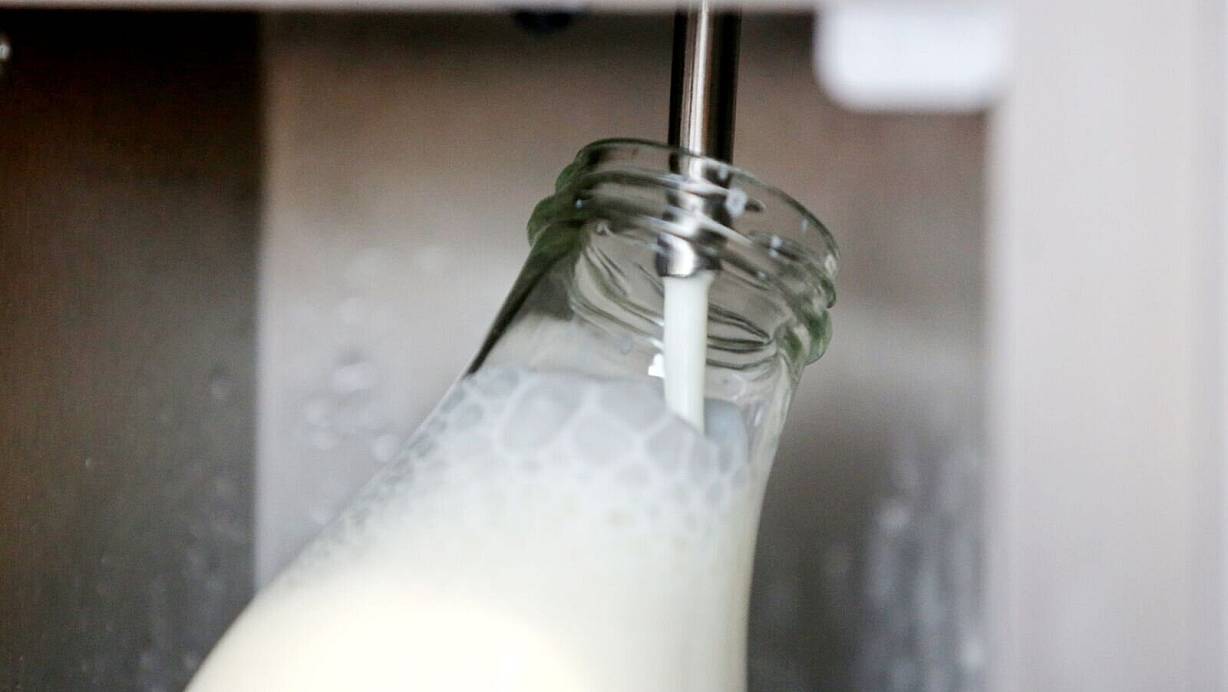 Rohmilch bekommt man direkt ab Hof. (Archivbild) | © Roland Weihrauch/dpa