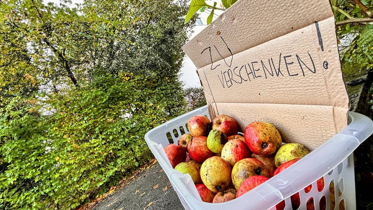 Vom Hochglanzapfel bis zum Fallobst: Viele Bielefelder verschenken die Äpfel, die sie aufgrund der schieren Masse nicht mehr selber essen oder verwerten können. | © Eike J. Horstmann