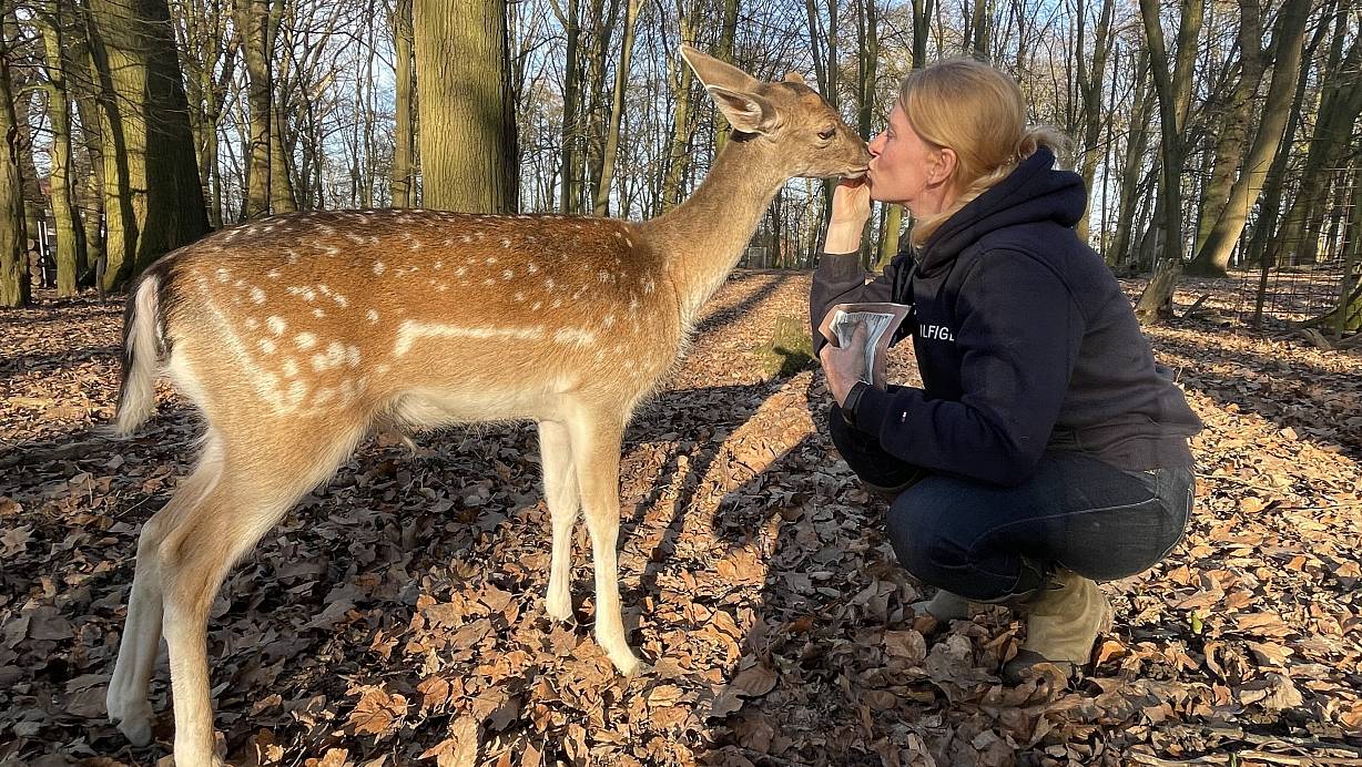 Den Junghirschen Linus und seine Adotivmutter Nicole Gröger verbindet eine innige Liebe. Klar, dass es da auch mal ein Küsschen gibt. | © Elke Niedringhaus-Haasper