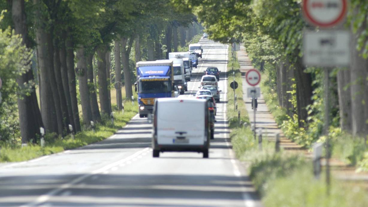 G&uuml;tersloher Stra&szlig;e: Die B 61 zwischen Bielefeld und G&uuml;tersloh soll vierspurig ausgebaut werden. Der Erhalt der Eichen am Stra&szlig;enrand ist ungewiss. | &copy; Christian Weische