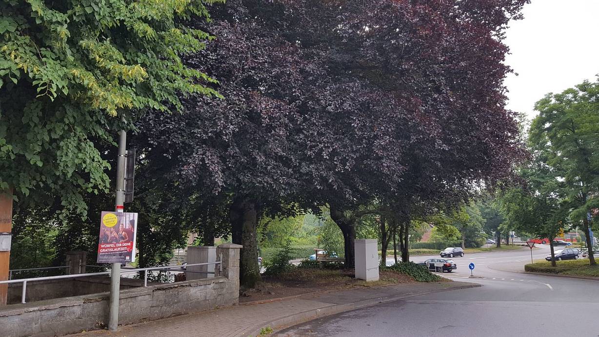 Die öffentliche Grünfläche an der Grundstücksspitze neben dem Bahnmeisterhaus zwischen der Verner Straße und dem Otto-Mauel-Platz soll erhalten bleiben. | © CDU Salzkotten