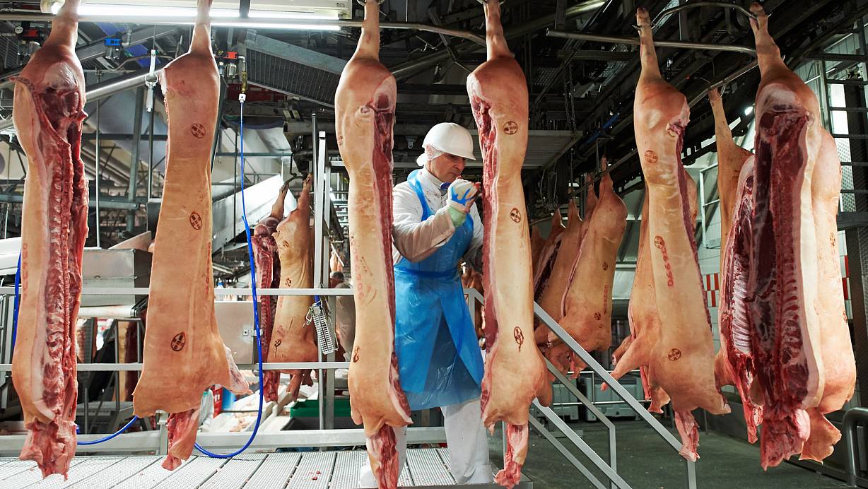 Schweinefleisch, das derzeit nicht nach China darf: Ein Mitarbeiter des Fleischunternehmens Tönnies arbeitet im Schlachthaus in Rheda-Wiedenbrück. | © picture alliance / dpa