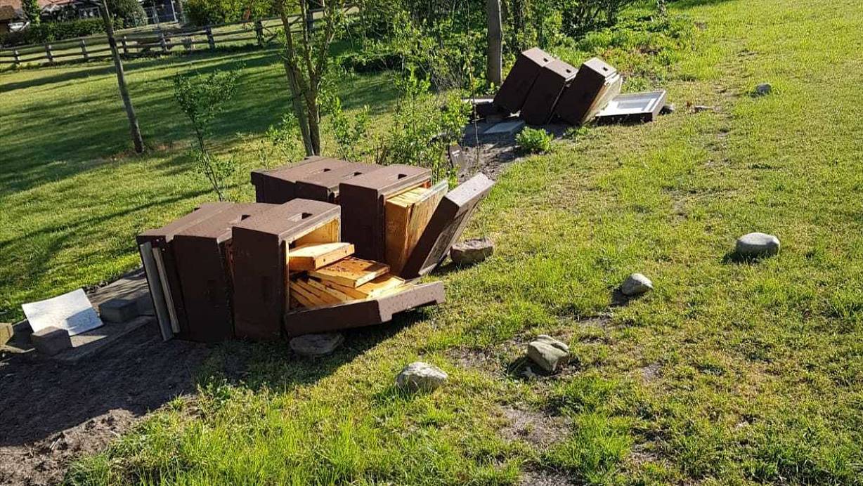 Unbekannter haben in der Nacht zu Sonntag die Bienenstöcke auf dem Rahdener Museumshof zerstört. | © Stadt Rahden