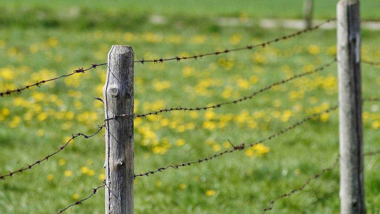 Dass die Verletzungen vom Weidezaun verursacht wurden, schließt die Polizei aus (Symbolbild). | © Pixabay