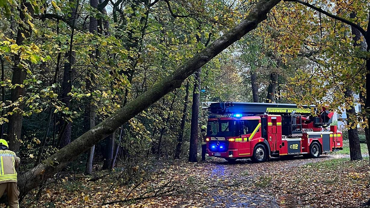Der umgestürzte Baum war eine Gefahr für Bewohner und Passanten am Bad Lippspringer Schützenweg. | © Feuerwehr Bad Lippspringe