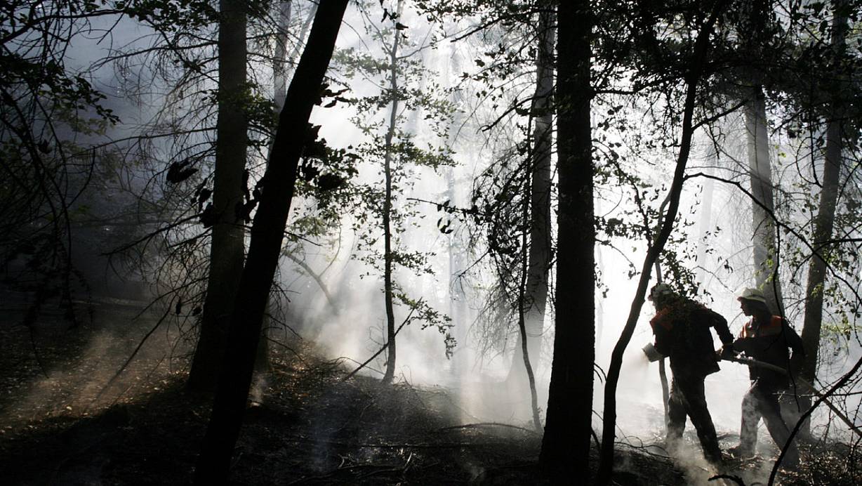 Der Wald brennt: In Hüllhorst gingen im Sommer 2009 in einem Teil des Wiehengebirges Bäume und Unterholz in Flammen und Rauch auf. Zu Fuß mussten die Einsatzkräfte die Schläuche hochschleppen und vor Ort löschen. | © Foto: Tyler Larkin||