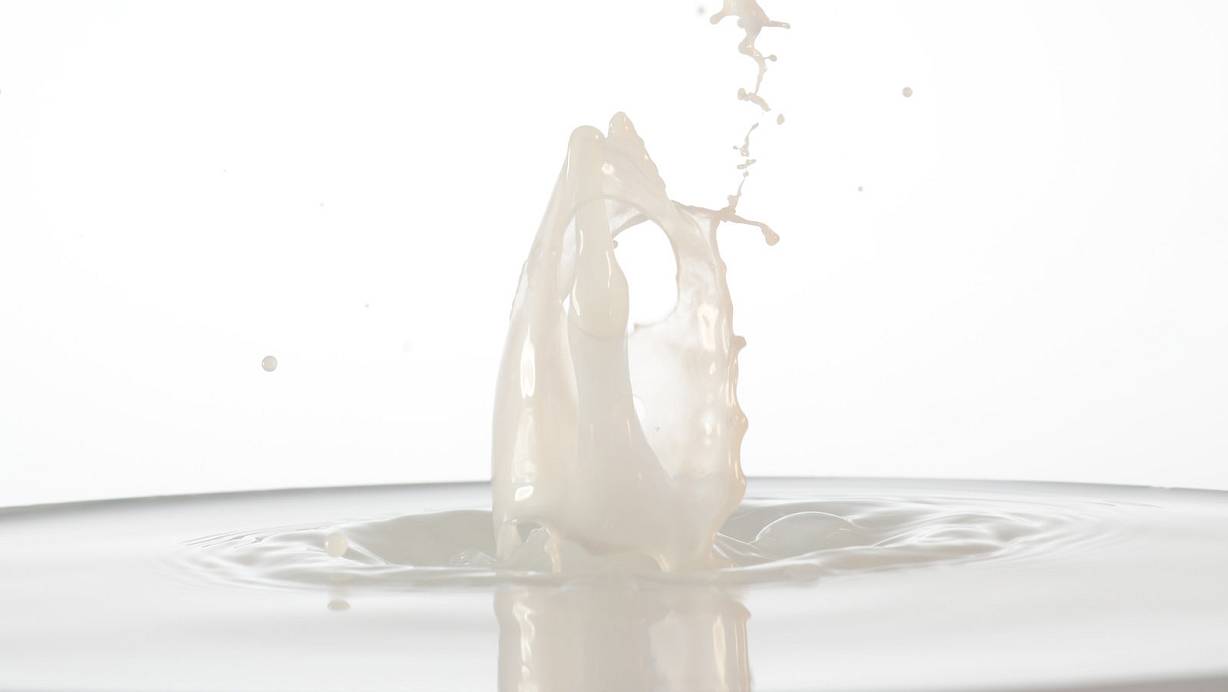  Bundesweit werden Literpacks mit fettarmer Milch zurückgerufen. | © picture alliance / augenklick/firo Sportphoto