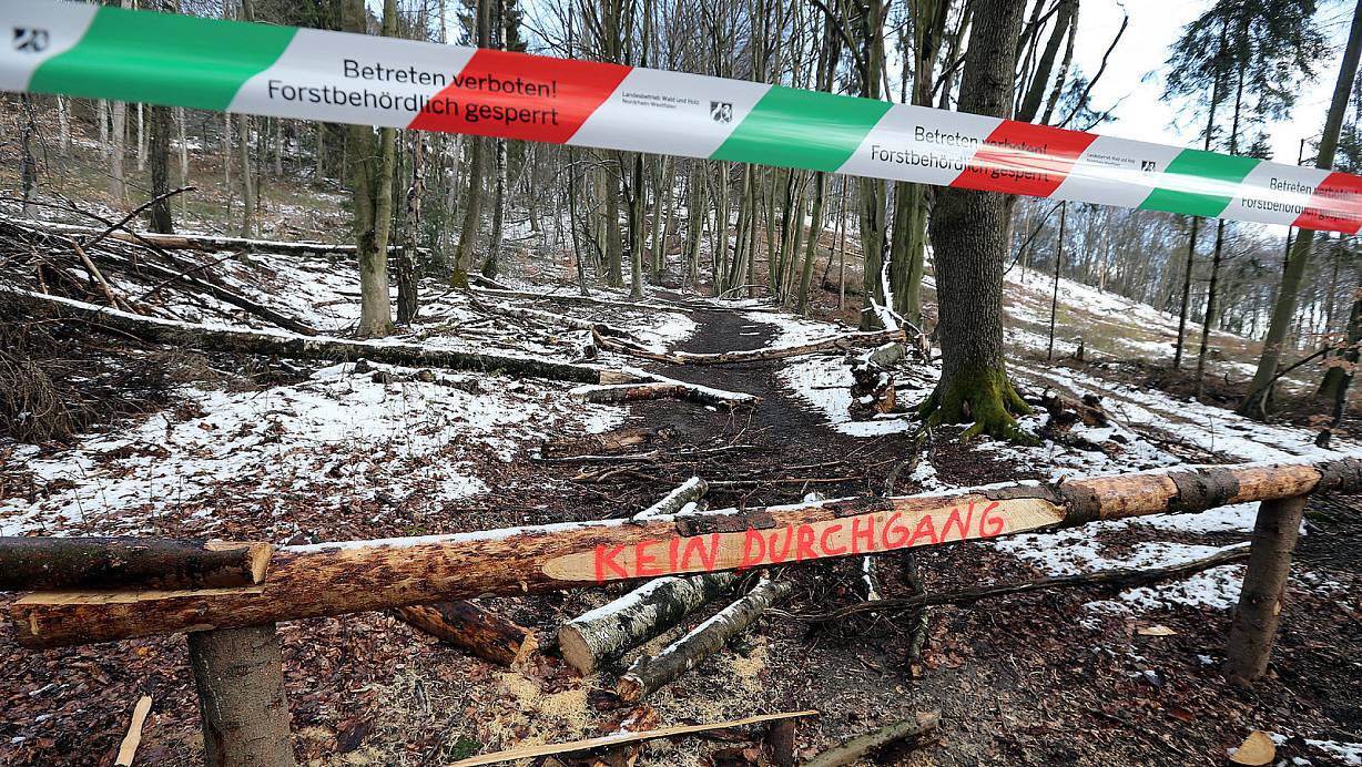 Ausgetretene Wege hat das Regionalforstamt NRW nun für alle  gesperrt. Denn sämtliche dieser Pfade sind illegal. | © Wolfgang Rudolf