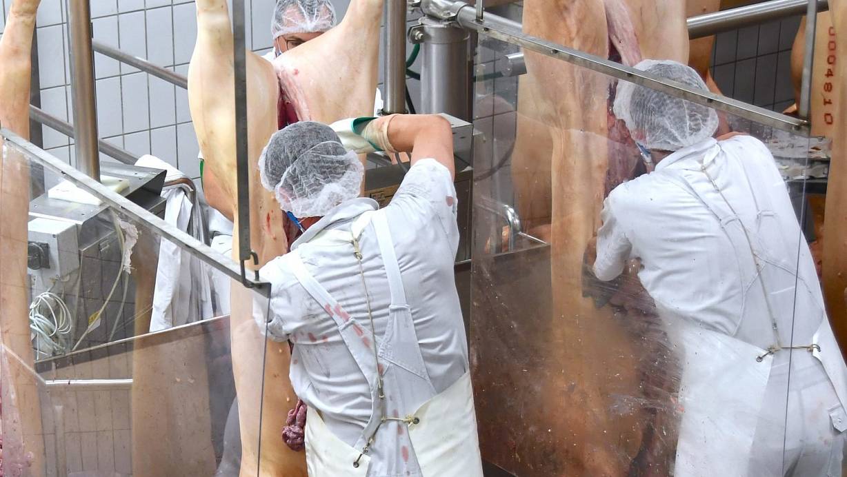Bei Tönnies darf seit Kurzem wieder geschlachtet werden. Mitte Juni hatte es hier einen massiven Coronavirus-Ausbruch gegeben, das Werk war darauf geschlossen worden. | © Tönnies