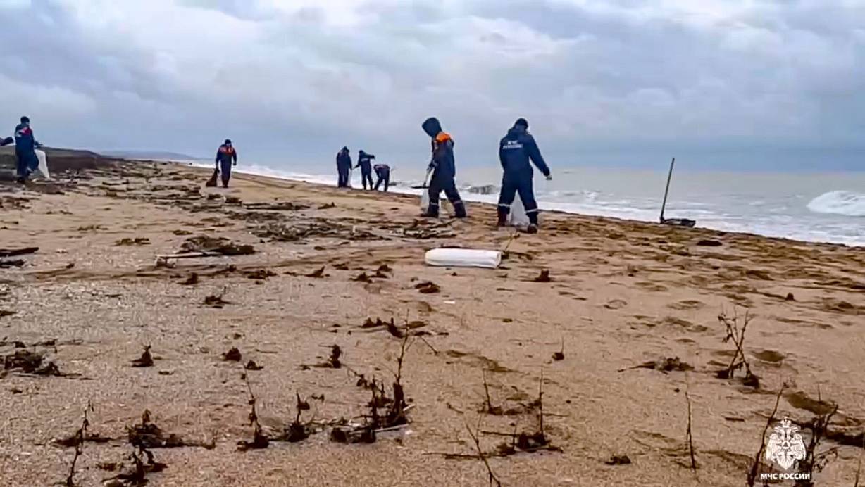 Die Ölpest führt dazu, dass auch immer mehr Delfine verenden. (Archivfoto) | © Uncredited/Russian Emergency Ministry Press Service/AP/dpa