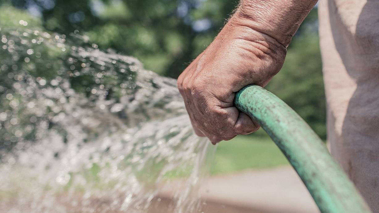 Einer der Männer erzählte, dass sie in der Nachbarschaft mit Gartenarbeiten beschäftigt seien und der Dame jetzt auch ihre Dienste anbieten wollten. | © Pixabay