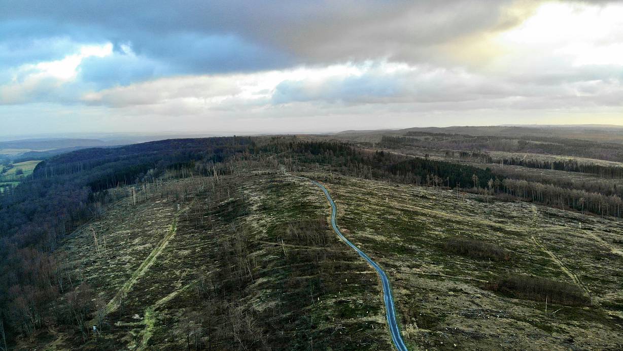 In den kommenden Wochen werden nun Befürworter und Gegner eines Nationalpark Egge um Stimmen der Bürger im Kreis Paderborn werben. | © Jens Reddeker