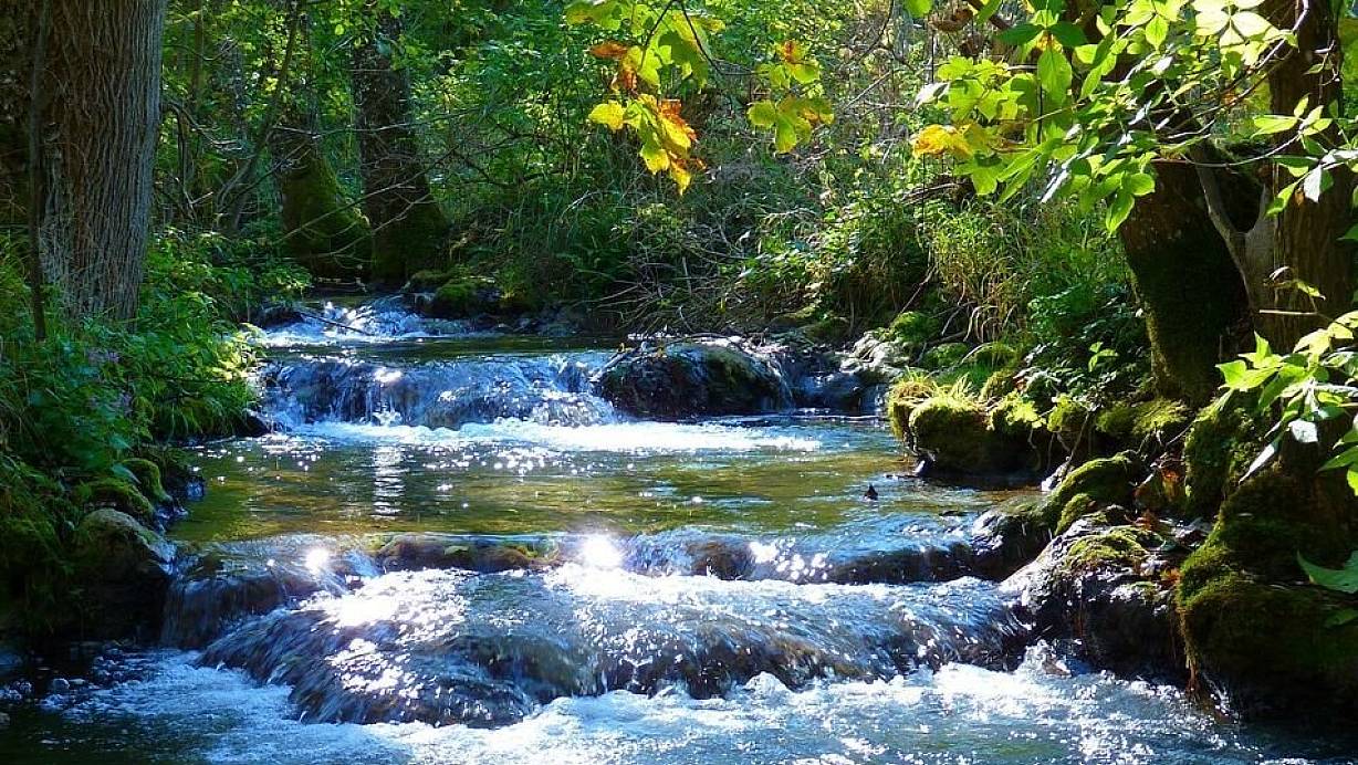 Das Naturparadies kennen viele Bielefelder nicht. | © Symbolfoto