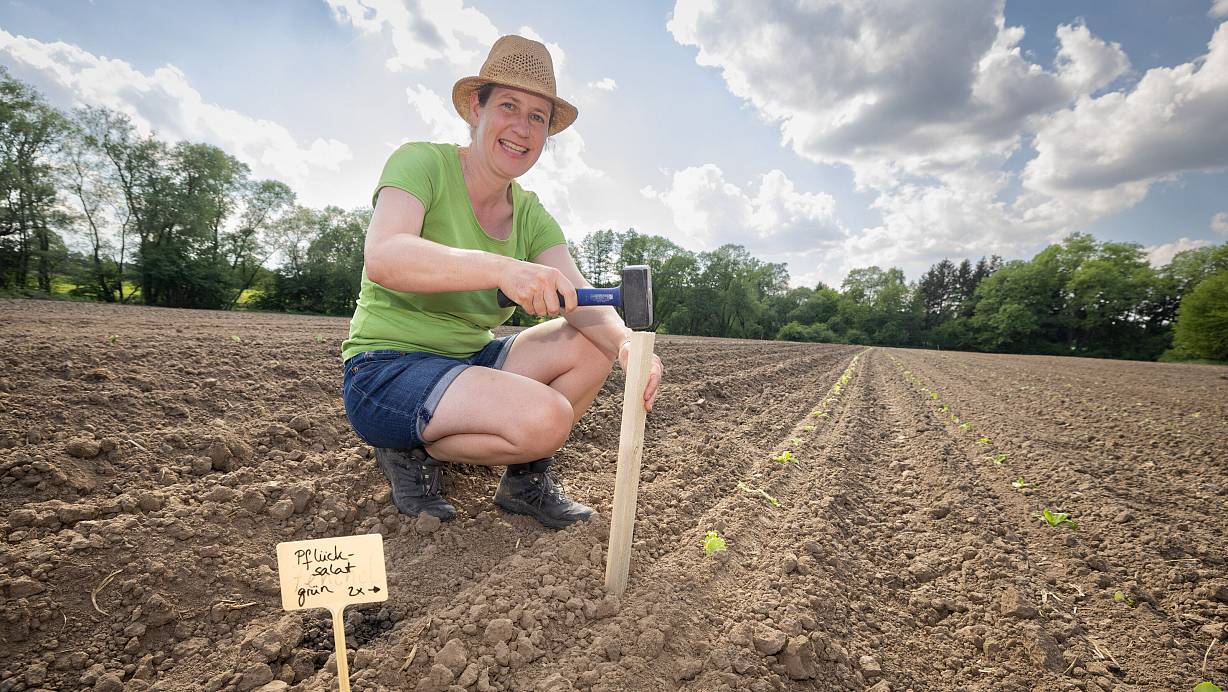 Daniela Haferkorn von "meine ernte" auf dem Acker an der Alten Wassermühle zu Bentrup: Hier können die Bielefelder jetzt Gemüsegärten mieten. | © Oliver Krato