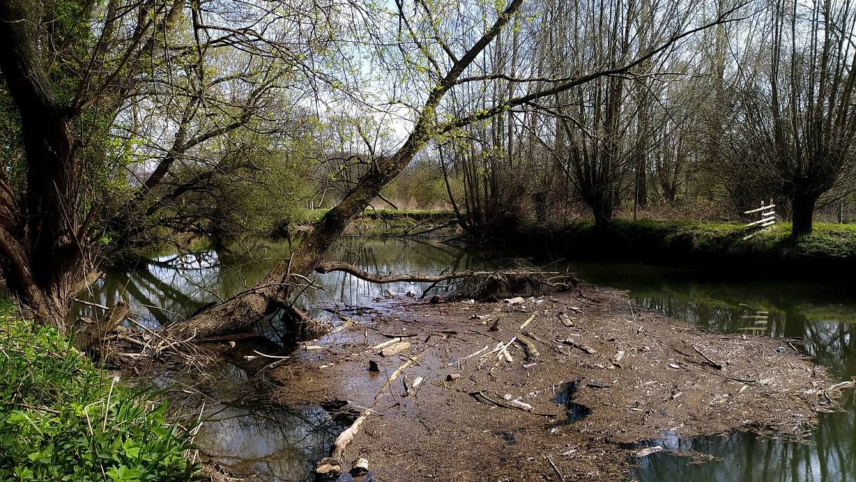 Alte Kühlschränke gehören in den Doberg und leere Plastikflaschen in die Else. Das ist der Sinn von Naturschutzgebieten. | © Nicolas Bröggelwirth