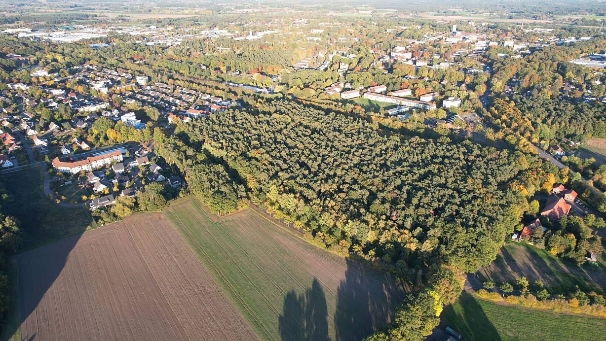 MKK-Pläne: Muss der Espelkamper Wald wirklich dem Neubau weichen? | nw.de