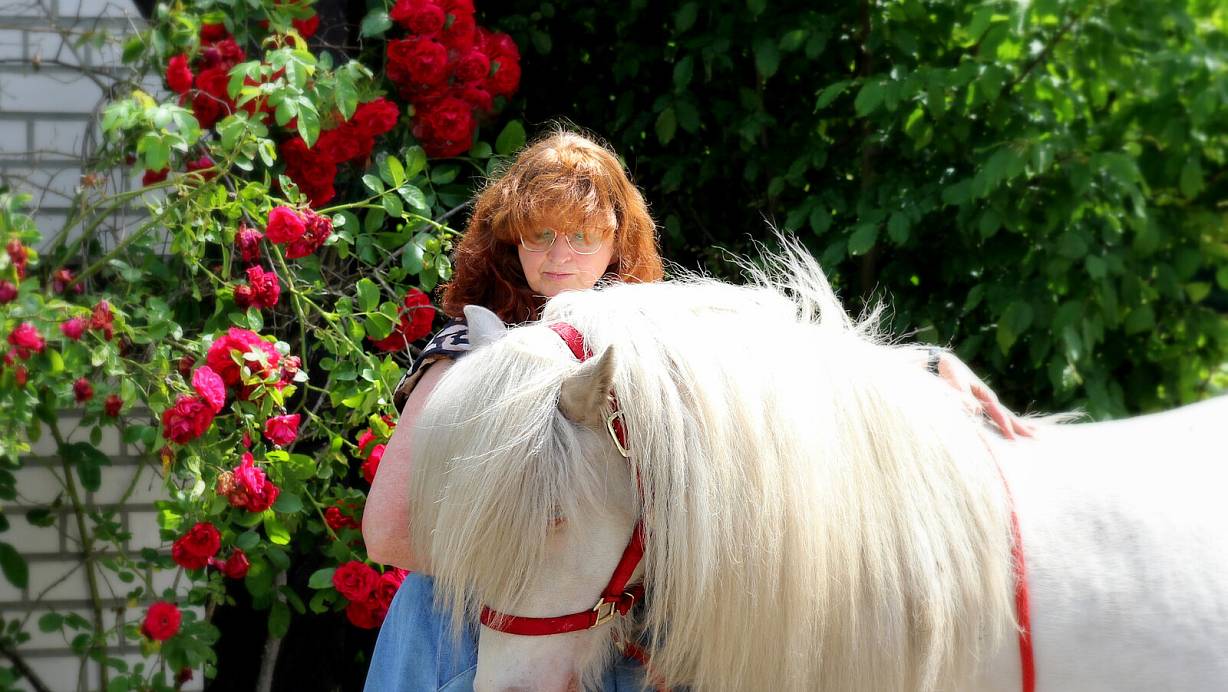 Regine Felsmann-Kraak betreibt eine Islandpferdezucht mit langjähriger Tradition. | © Picasa