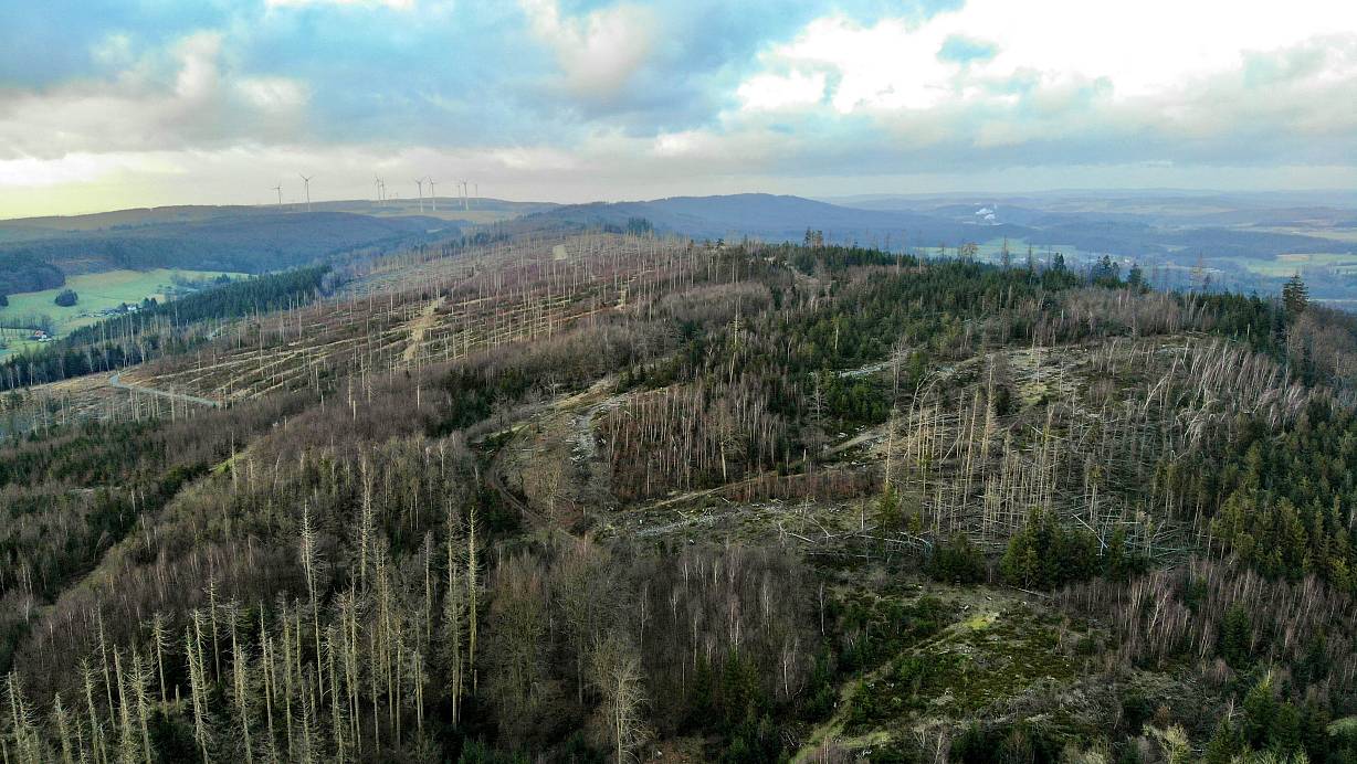 Das Eggegebirge, hier bei Altenbeken, steht seit knapp einem Jahr im Fokus von Nationalparkplänen. Im März 2023 hatte die „NW“ exklusiv darüber berichtet. | © Jens Reddeker
