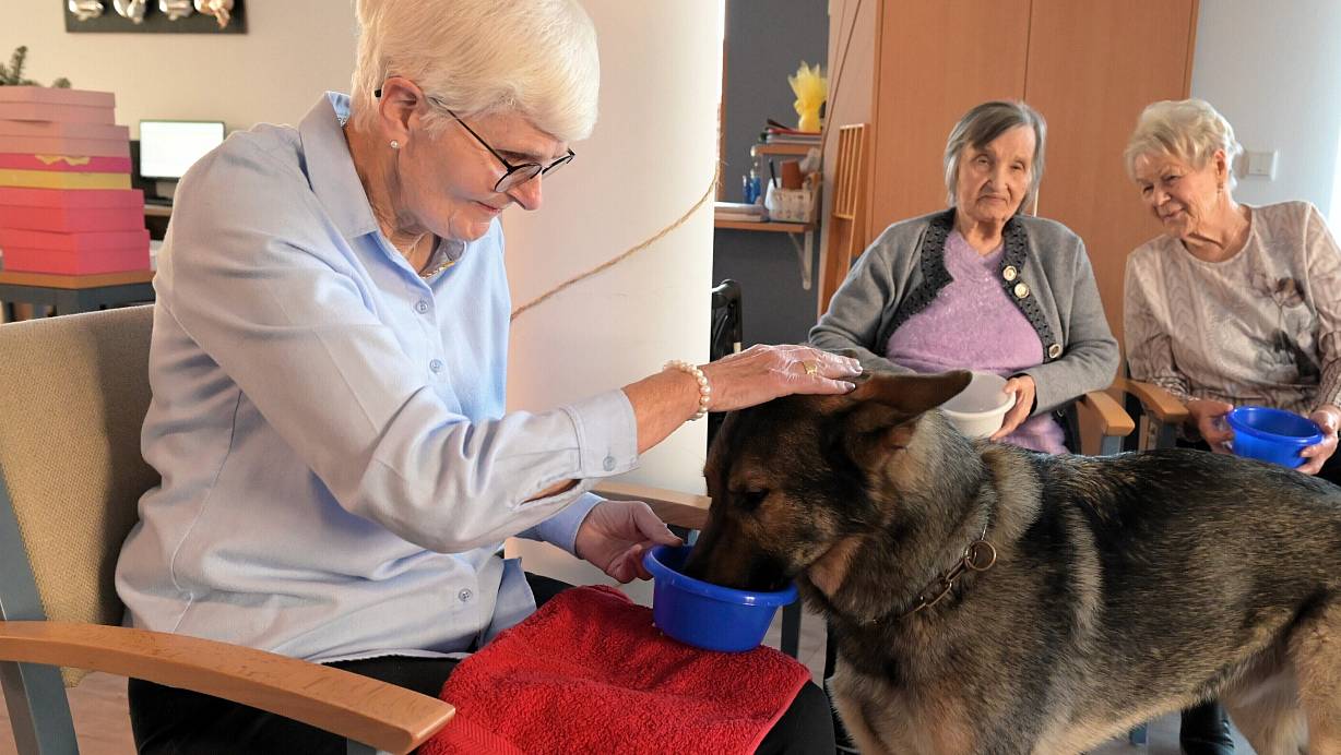 Ursula Treutler gibt Oskar Wasser aus ihrer Schale und streichelt ihn dabei. Oskar bleibt ganz ruhig stehen und genießt. | © Waltraud Leskovsek