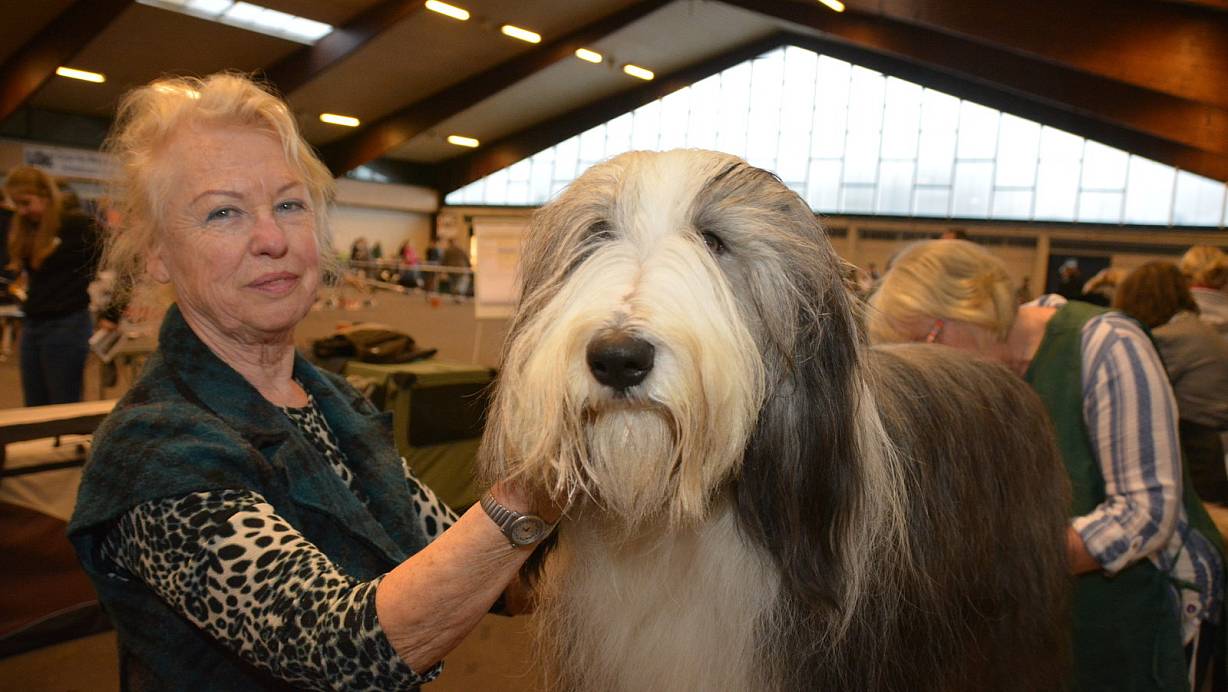Herrchen und Hund geben alles, um möglichst gut auszusehen. | © Karin Prignitz