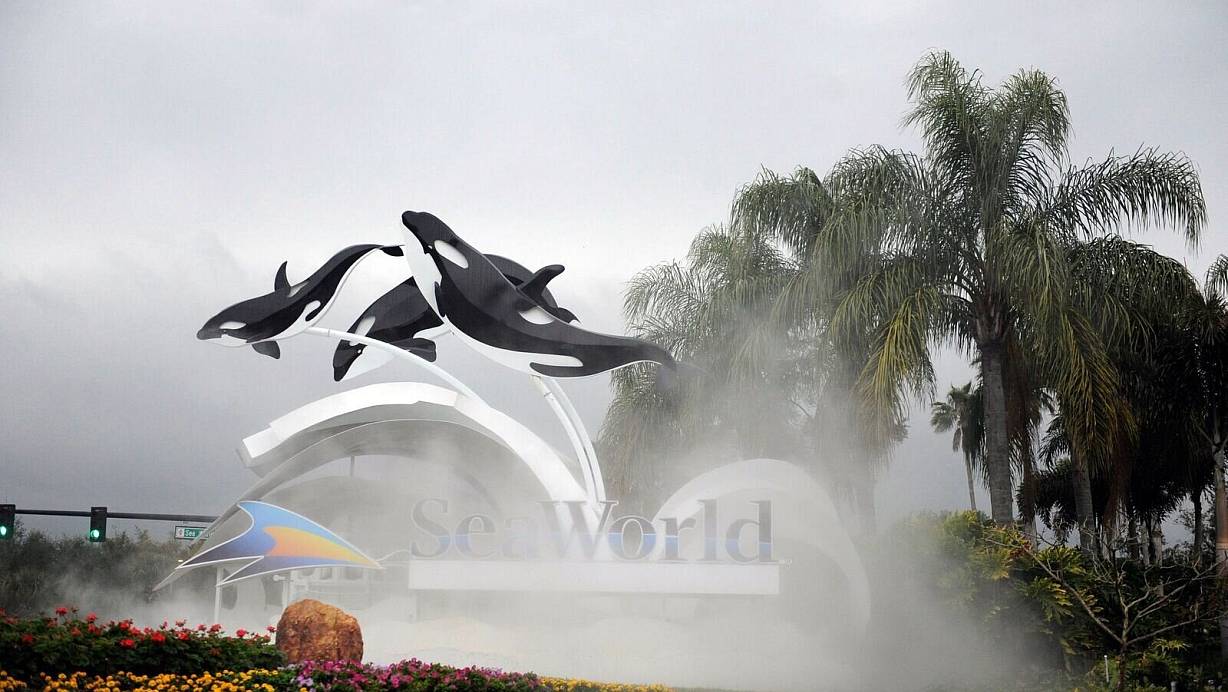 Zum Schutz von Meeressäugern: Dertour nimmt Ausflüge wie ins Seaworld in Florida aus seinem Programm. | © Preston Mack/EPA/dpa-tmn