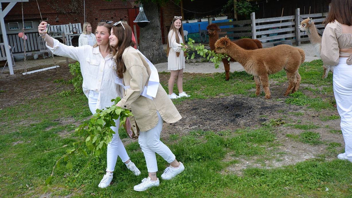 Erinnerungsfotos gehören zu einem gelungenen Workshop dazu. Hier mit den Alpakas im Hintergrund. | © Karin Prignitz