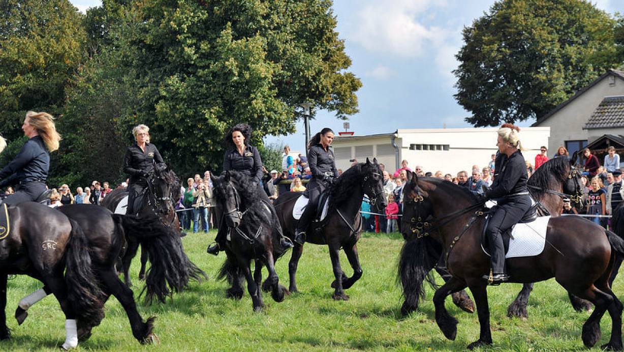 Die Vorführung der Showreitschule Rabea Schmale aus Minden mit ?Friesenquadrille? und Dressurshow war für Hunderte Zuschauer das Highlight am Sonntag. FOTO: KARL-HENDRIK TITTEL |