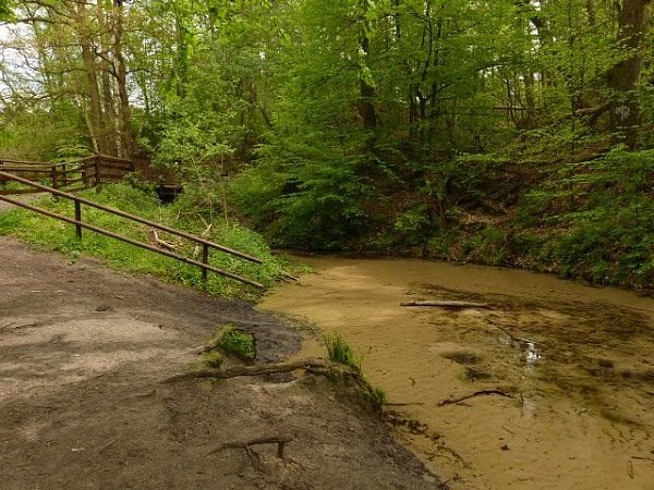 Idylle pur: Die Emsquellen in der Moosheide. - © Otmar Lüke