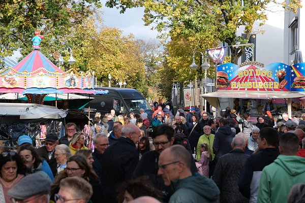 Hunderte Besucher drängten sich im vergangenen Jahr über den Herbst- und Bauernmarkt. - © Ulf Hanke