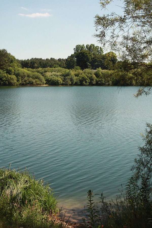Idyllisch: Schwimmen ist im Sennesee aber verboten. - © Theresa Feldhans