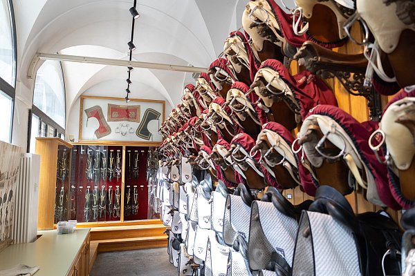 In der Sattelkammer der Stallburg wird das Zaumzeug für die Lipizzaner der Spanischen Hofreitschule aufbewahrt. - © Niklas Tüns