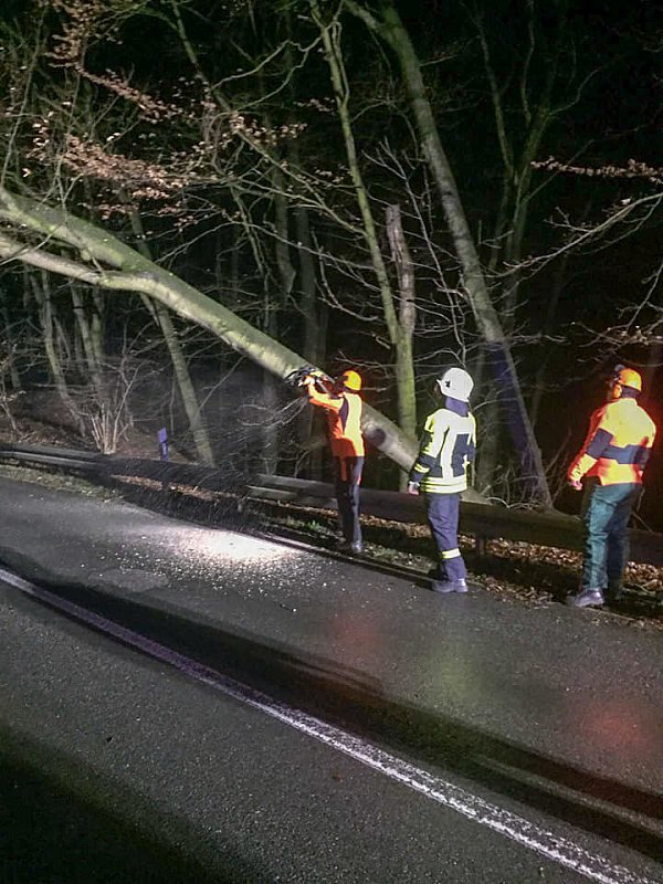 Arbeitsreiche Zeit für die Feuerwehr in Herford. Zahlreiche Bäume wurden vom Sturm entwurzelt. - © FW Herford