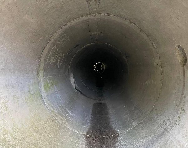 In dieses Rohr hat sich das verängstigte Tier gezwängt. - © Feuerwehr Borchen