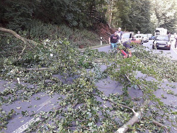 Autofahrer steigen aus, um einen Ast von der B 239 zu räumen, der von einem trockenen Baum abgebrochen ist. Bäume an der Straße werden jetzt vorsorglich gefällt. - © Heike von Schulz