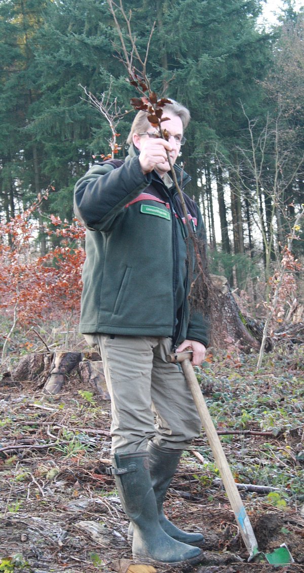 Der Bielefelder Stadtförster Herbert Linnemann mit einem Setzling. Er betreut die Pflanzaktion rund um den Stadtwald. - © Gauselmann Gruppe