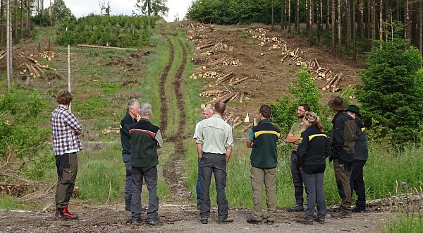 Försterinnen und Förster diskutierten an verschiedenen Landschaftsbildern die vielen Auswirkungen der Waldkrise. Das Plateau auf dem Eggekamm lieferte dafür die eindrucksvolle Kulisse. - © Wald und Holz Nordrhein-Westfalen