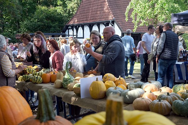 Auf dem Bünder Bauernmarkt lassen sich viele Spezialitäten entdecken. - © Katharina Eisele