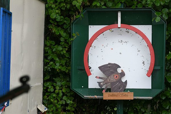 Geschafft: Hier sieht man, wie der ganze Vogel in den Kugelfang fällt. - © Michael Kalus
