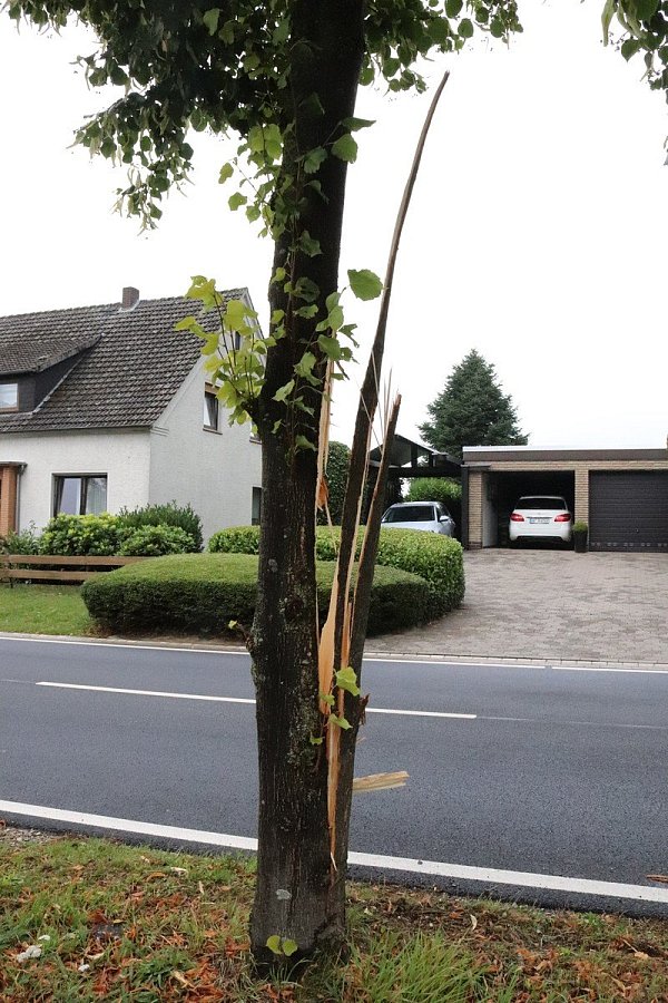 Ganze Teile wurden abgespalten. - © Celina Allard