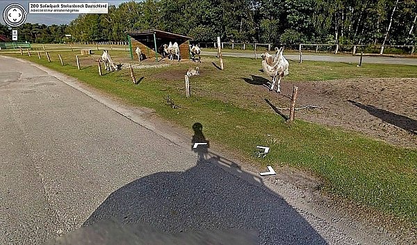 Das "Google Streetview"-Auto samt Kamera wirft seinen Schatten auf der Straße im Safaripark voraus. - © FOTO: SCREENSHOT/GOOGLE
