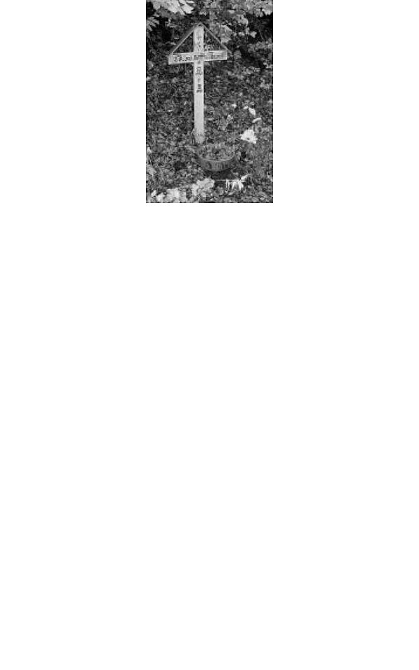 Ein Kreuz erinnert 1993 an den Fundort der getöteten Martina B. - © NW-Archivfoto