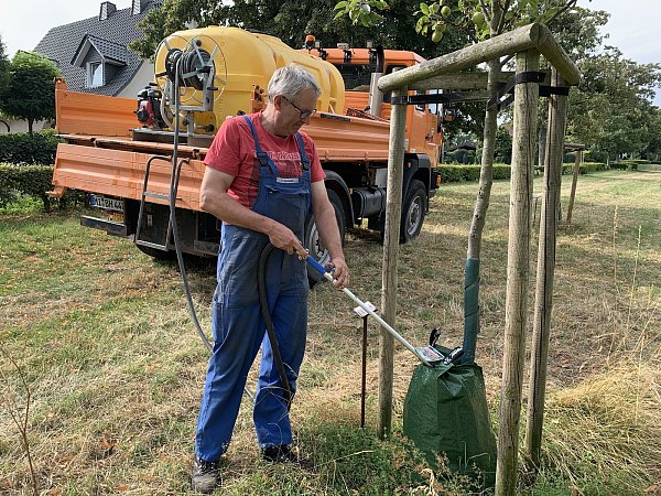 Wasser gegen Trockenheit: Der Baubetriebshof Lübbecke befüllt Wassersäcke, die stetig Wasser an den Boden abgeben, damit die Bäume nicht durch die Hitze vertrocknen. Holger Sporleder wässert hier am Freitagmorgen an der Straße Auf dem Gallenkamp in Lübbecke Apfelbäume. - © Noah Brümmelhorst