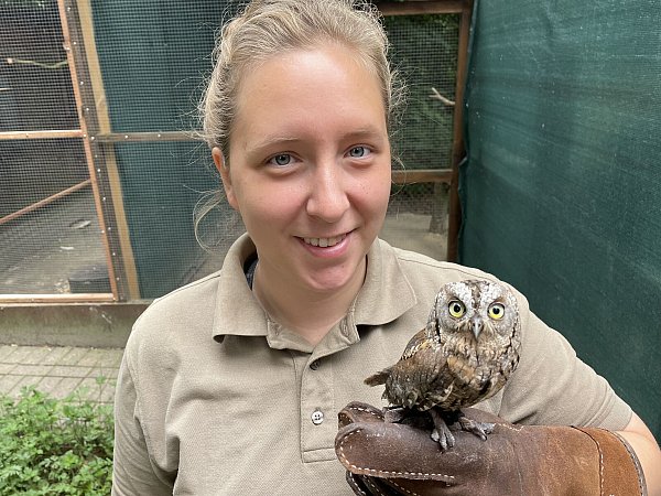 Laura Dodt und Zwergohreule Pixel: Neben den Rundgängen durch den Tierpark waren die zwei auch schon zu Gast beim Fest am Bismarckturm. Auch dort sei die kleine Eule der heimliche Star für die Besucher gewesen, erzählt Laura Dodt. - © Natalie Gottwald