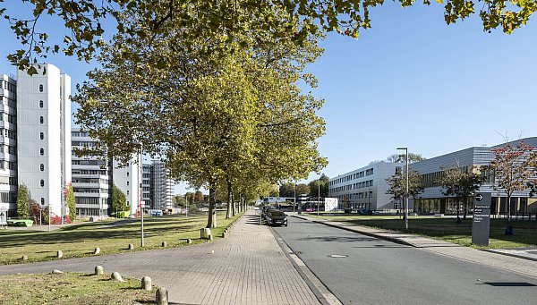 Entlang der Straßen Morgenbreede und Konsequenz entstehen mehrere Gebäude für die Medizinfakultät. Das Bild zeigt links das Universitätshauptgebäude, rechts vorne das neue Hörsaalgebäude sowie einen Bau mit Büros für Uni-Mitarbeiter, Foto: Jörg Dieckmann - © Jörg Dieckmann - www.dieckmann-fotodesign.de