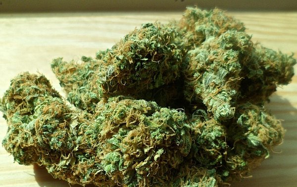 Der Erwerb und Besitz von Cannabis zum Eigenkonsum sollen bis zu einer Höchstmenge von 20 bis 30 Gramm möglich sein. - © Symbolbild/Pixabay