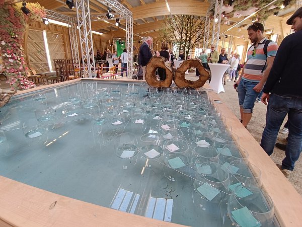 In die auf dem Wasserbecken schwimmenden Gläser können die Besucher Zettel mit Eheversprechen legen. Das kommt an. - © LGS/Manuela Puls