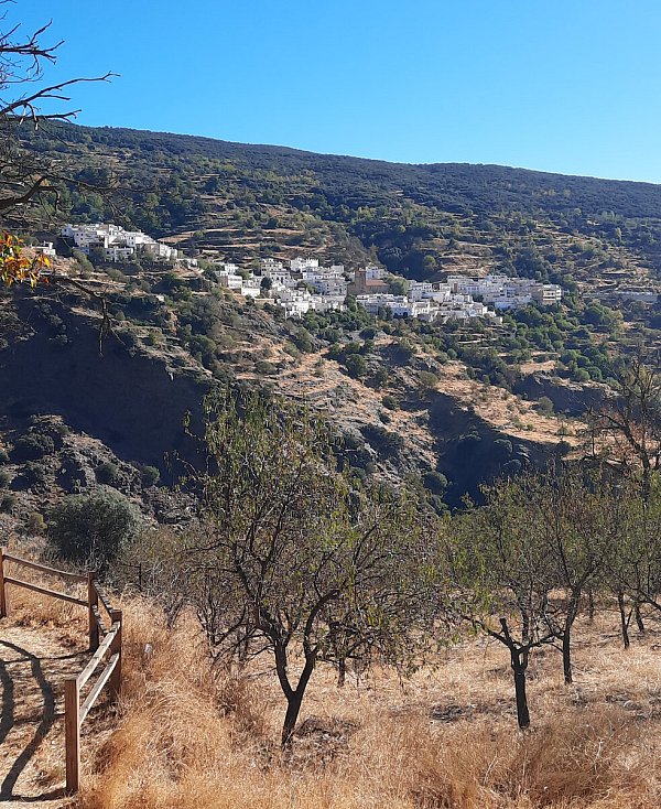 Hübsch am Hang gelegen: die Dörfer der Region Alpujarra. - © Susanne Reuter