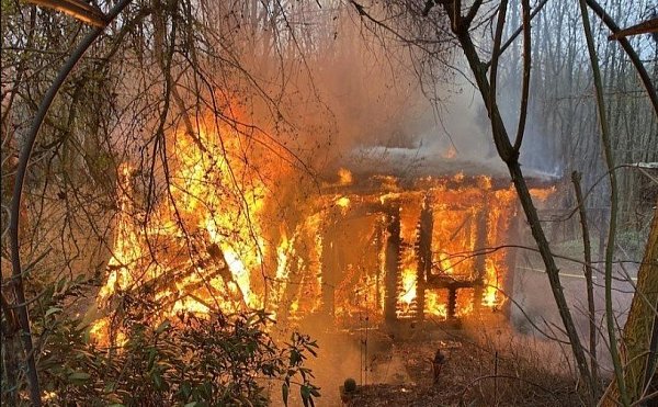 Die Gartenhütte brannte völlig nieder. - © Feuerwehr Höxter